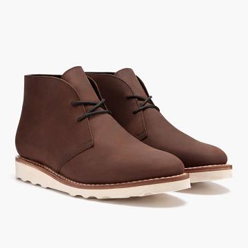 Pánské Chukka Boty Thursday Boots Scout Læder Hnědé | CZ53CZL