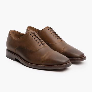 Pánské Společenské Boty Thursday Boots Executive Læder Káva | CZ244EBC