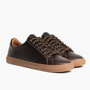 Pánské Tenisky Thursday Boots Premier Low Tops Læder Vínové | CZ220QMA