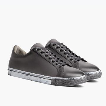 Pánské Tenisky Thursday Boots Premier Low Tops Læder Šedé | CZ221MQZ