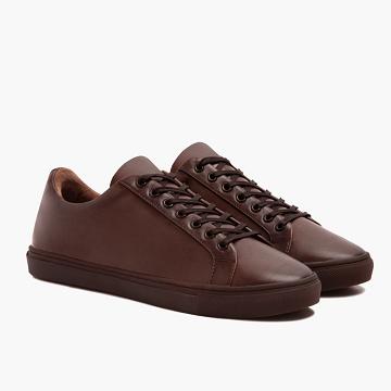 Pánské Tenisky Thursday Boots Premier Low Tops Læder Káva | CZ222NWY