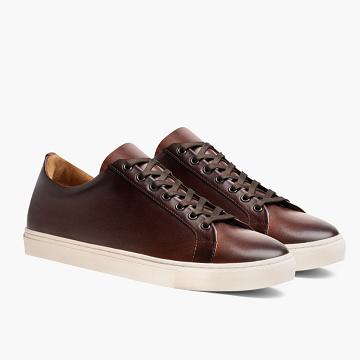 Pánské Tenisky Thursday Boots Premier Low Tops Læder Rugged & Resilient Káva | CZ226XYU