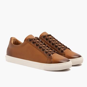 Pánské Tenisky Thursday Boots Premier Low Tops Læder Rugged & Resilient Zlaté | CZ227ZUT