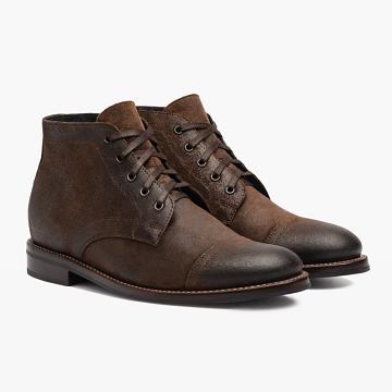 Pánské Šněrovací Boty Thursday Boots Cadet Semišové Káva | CZ70XYU